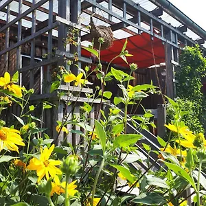Holzhaus Mit Grüner Aussicht Zum Erholen Burgheim